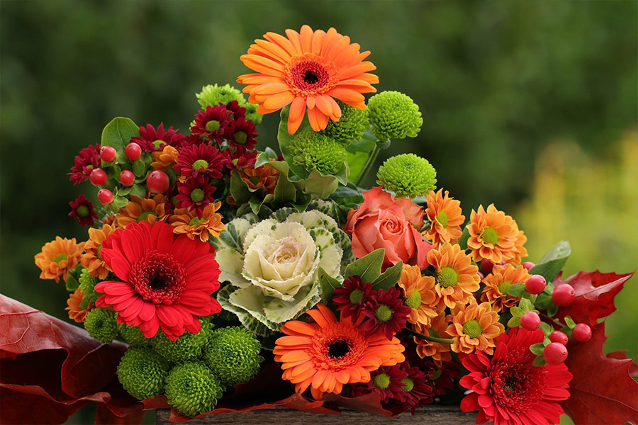 Chrysanthemums gerberas flowers bouquet