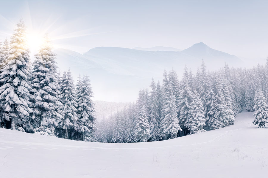 Panorama of foggy winter mountains