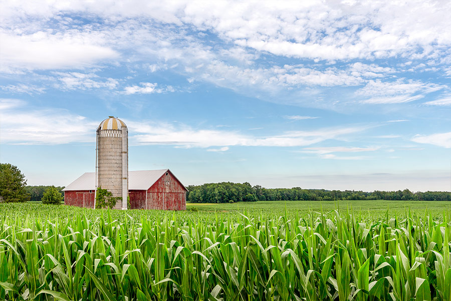 Classic red barn silo field green corn