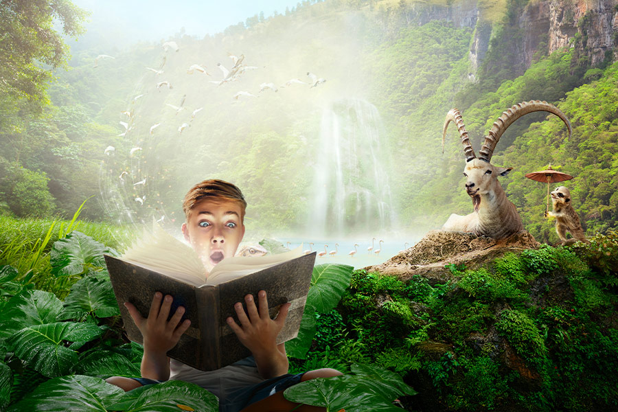 Boy reading wonderful fairy story