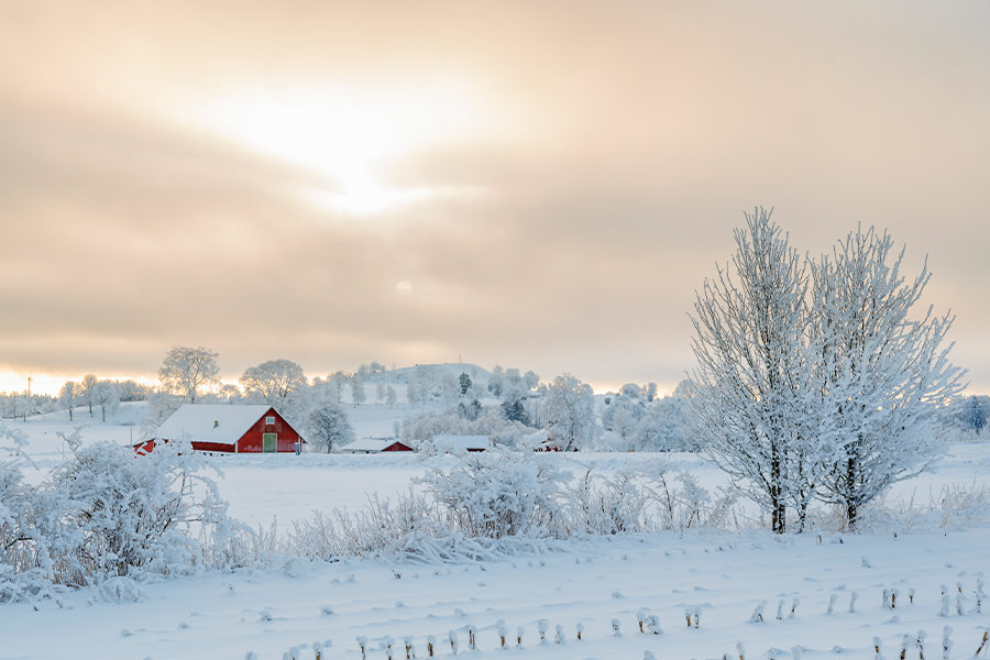 Farmhouse in rural winter landscape with snow and frost