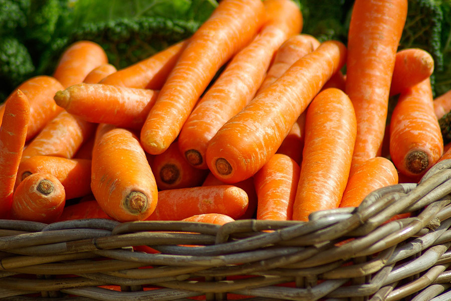 Basket of carrots