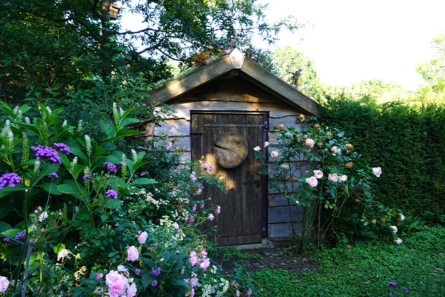 Beautiful green natural garden concept