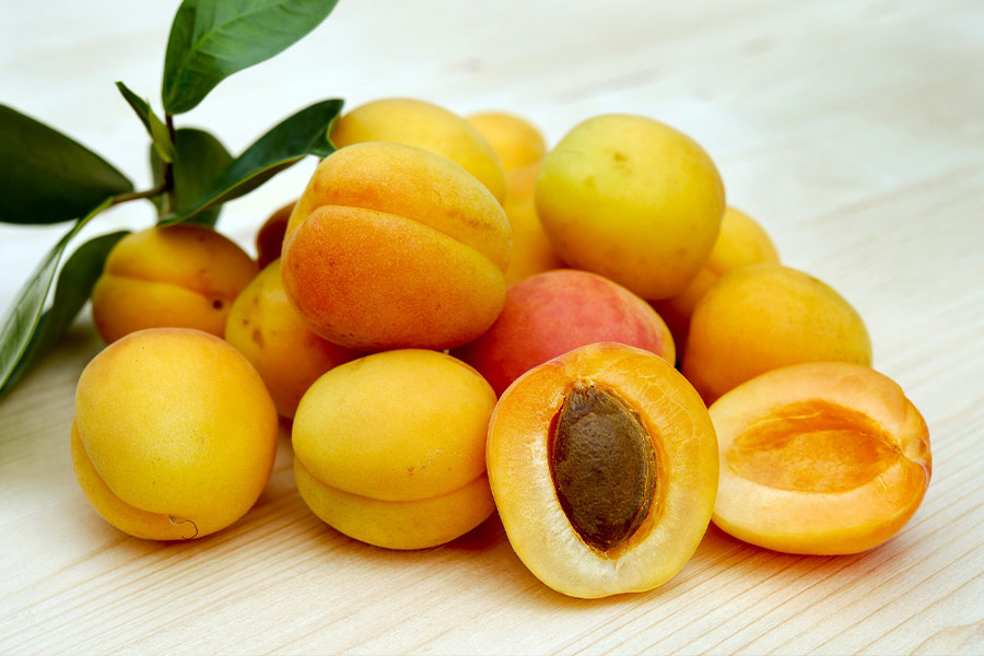 Apricots fruits ripe