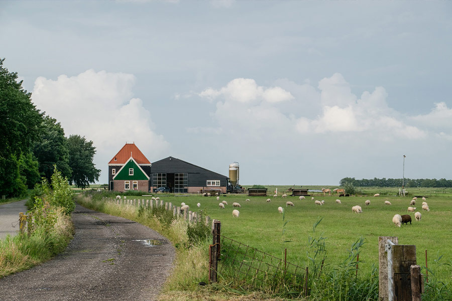 Countryside rural Netherlands