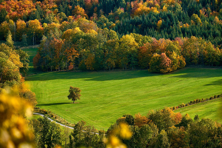 Field with autumn mood color