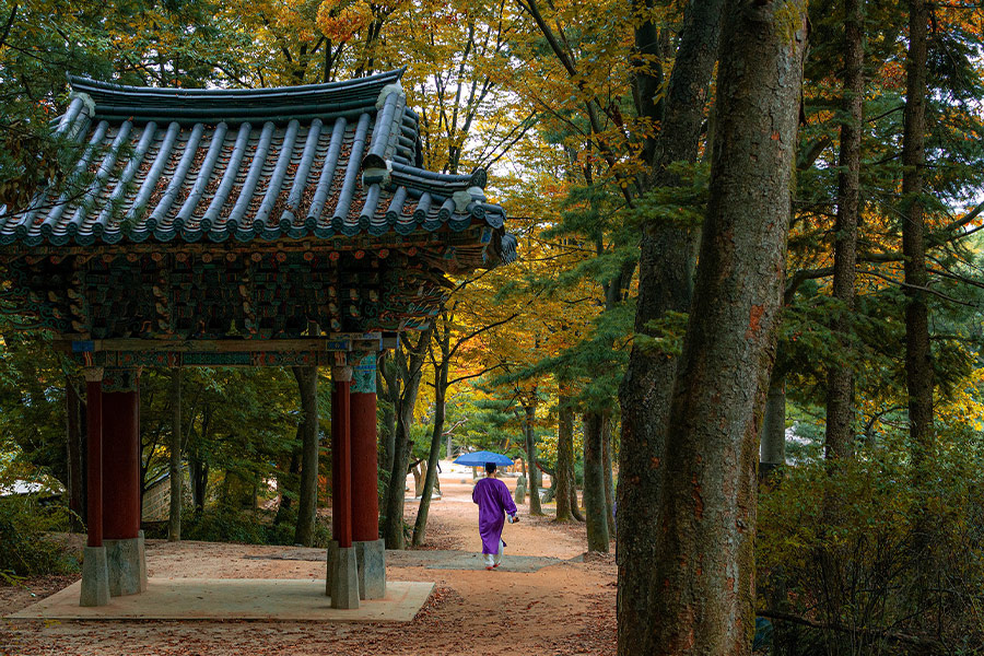 Korean folk village forest fall time
