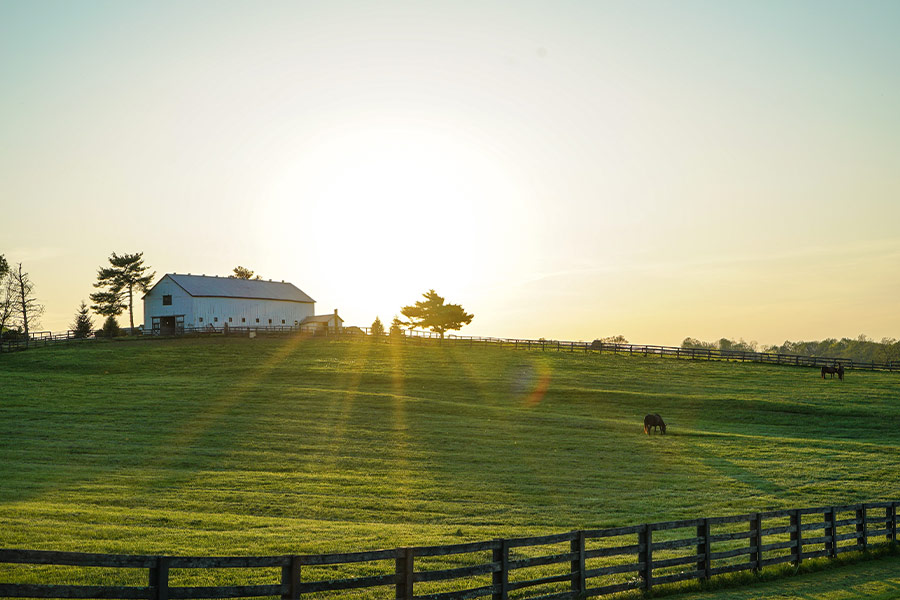 White house beside grass field farm