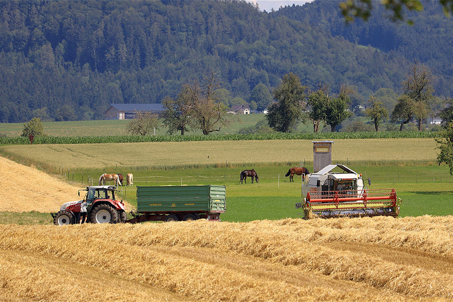 Agriculture barley field farm horses tractor