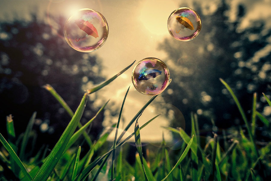 Soap bubbles over grass