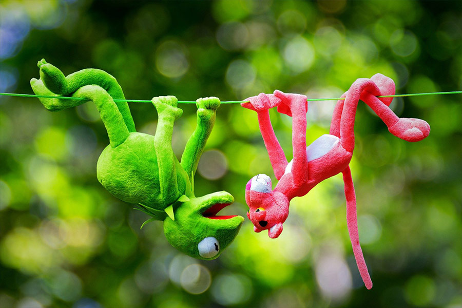 Monkey frog toys