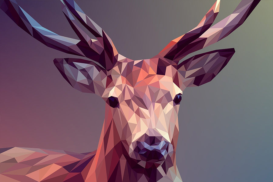 Deer graphic design