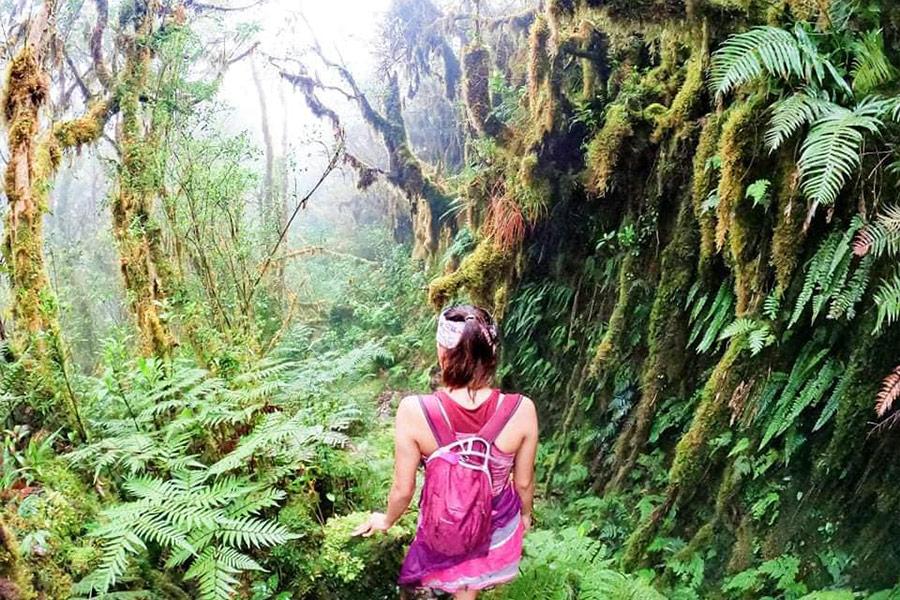 Mount Madjaas Culasi Antique