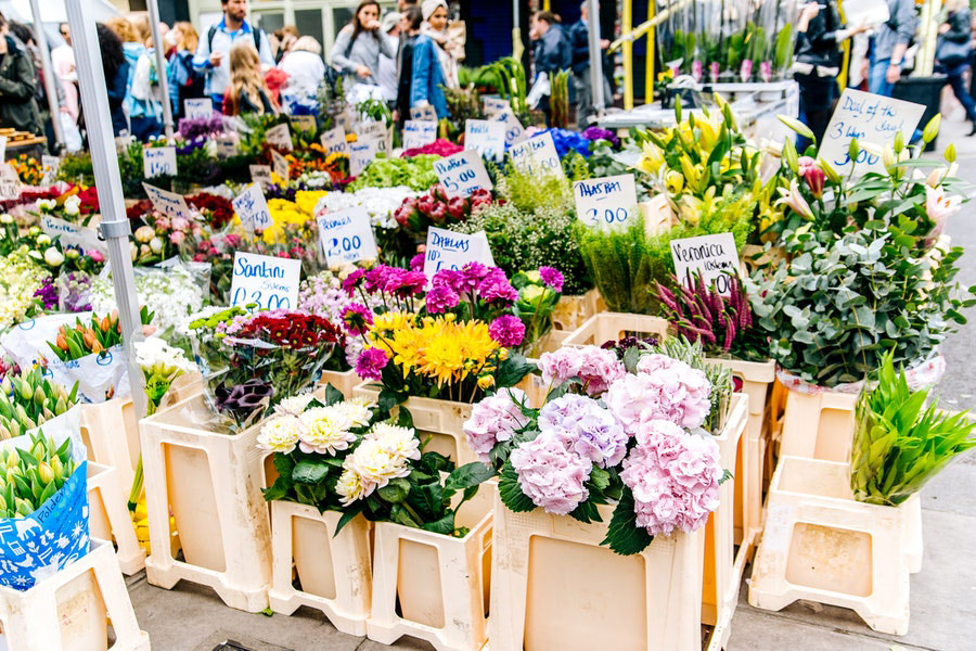 Assorted flowers with brown wooden rack