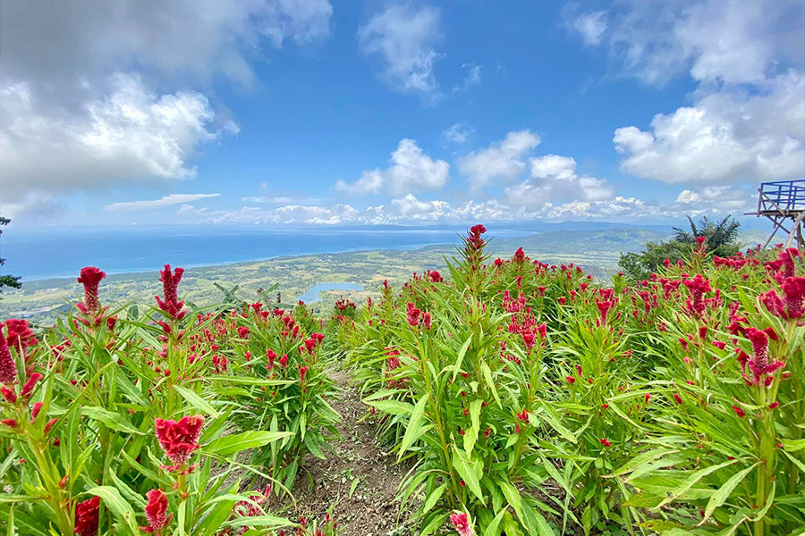 Beautiful up hill view