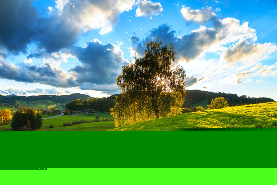 Beautiful scenery landscape