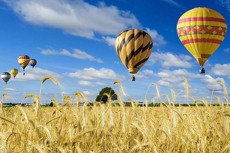 Hot air balloon in nature