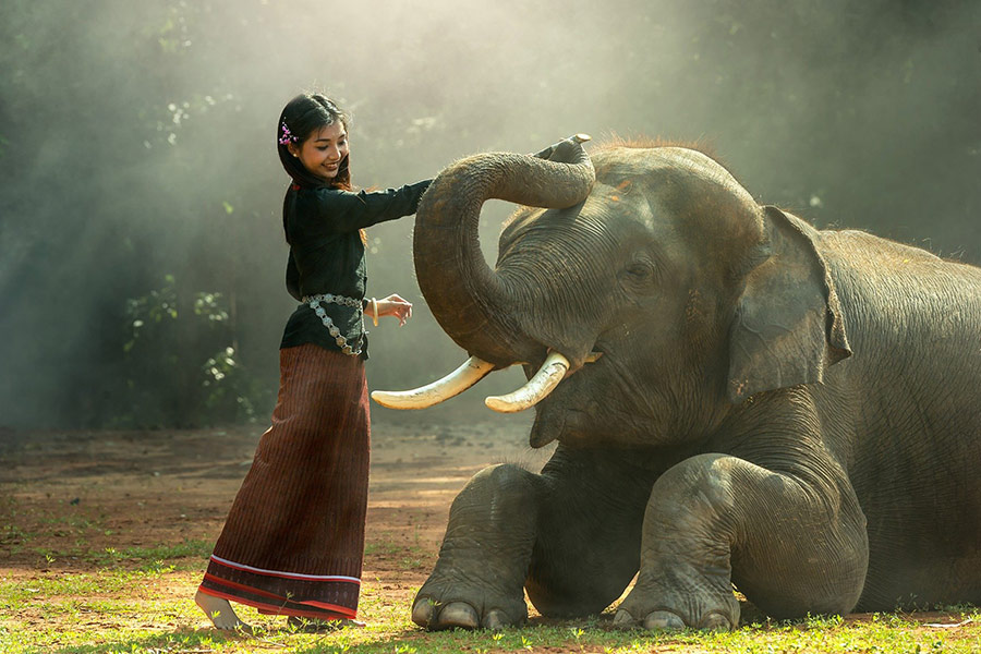 Asian girl with elephant