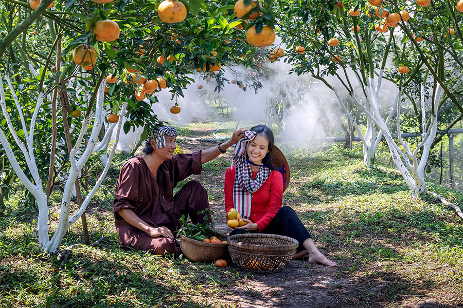 Garden nature Vietnam green scenery beauty and love