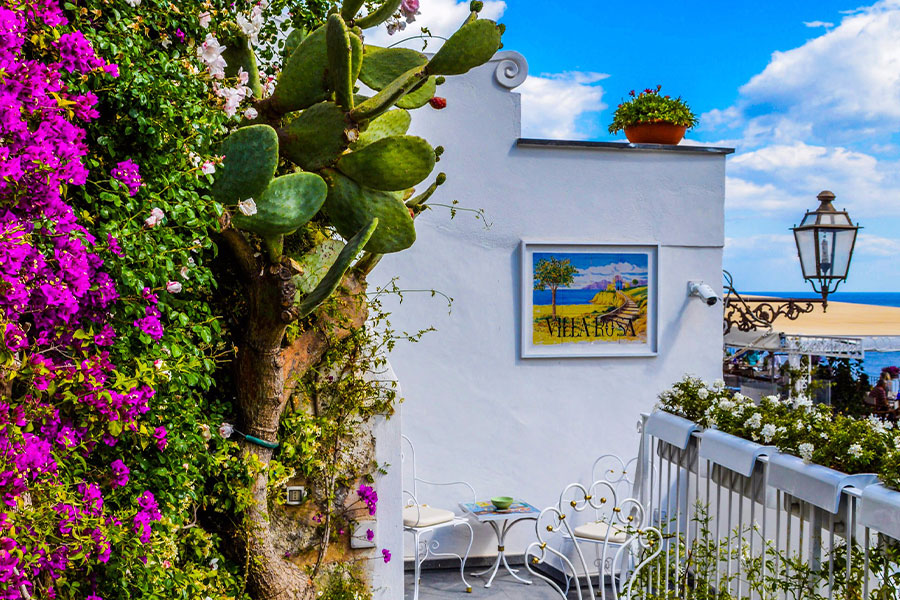 Veranda surrounded by green cactus and pink bougainvillea