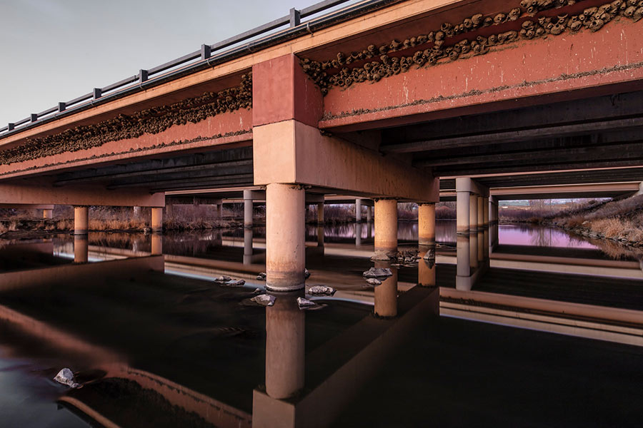 Local overpass near Firestone
