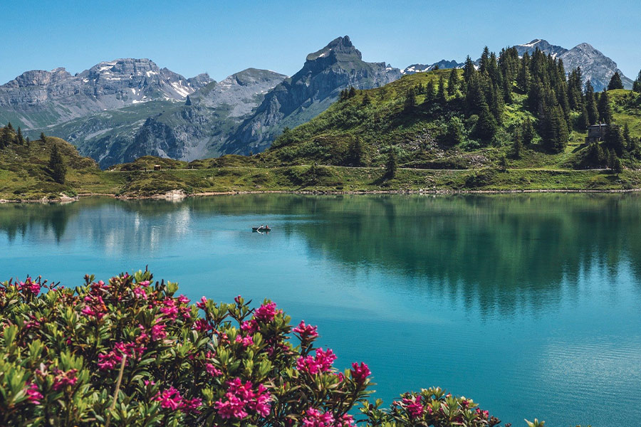 Trubsee Titlis Switzerland Alpine panorama