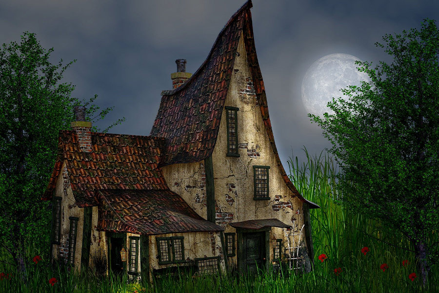 The night moon nature house