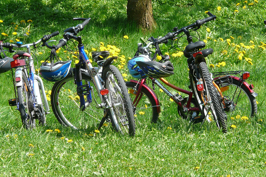 Family outing nature bike