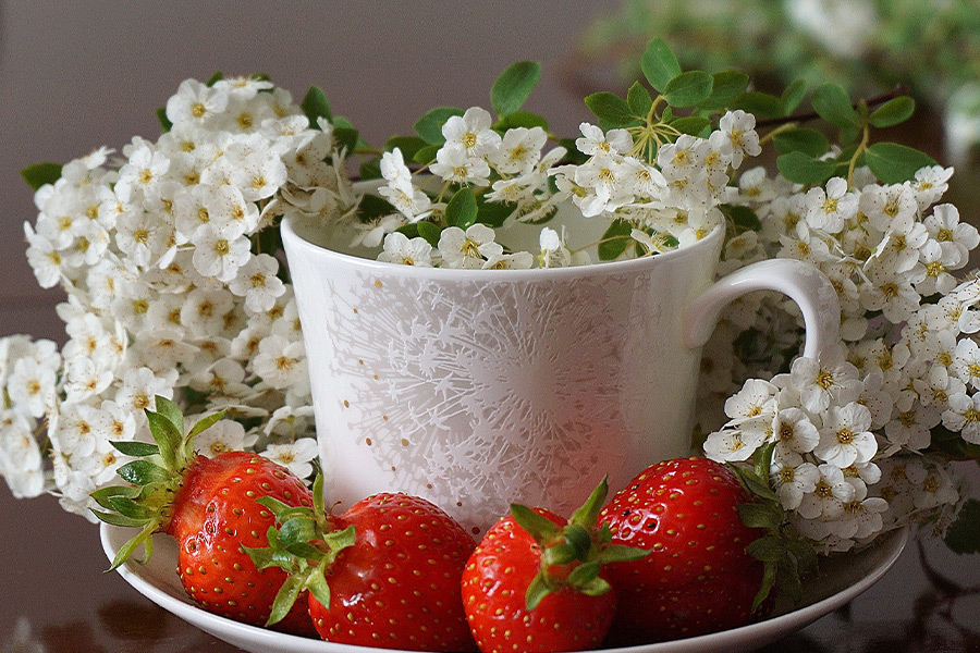 Ripe strawberries cherry flower