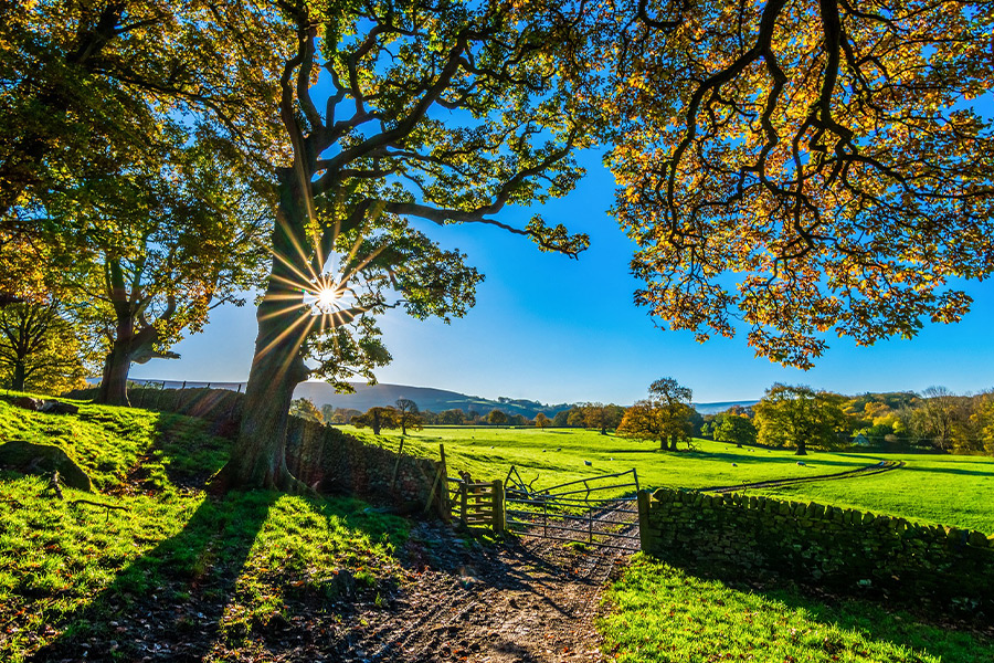 Yorkshire autumn time