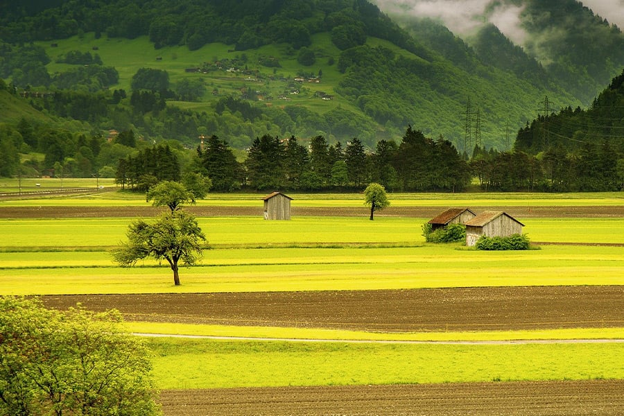 Landscape meadow field