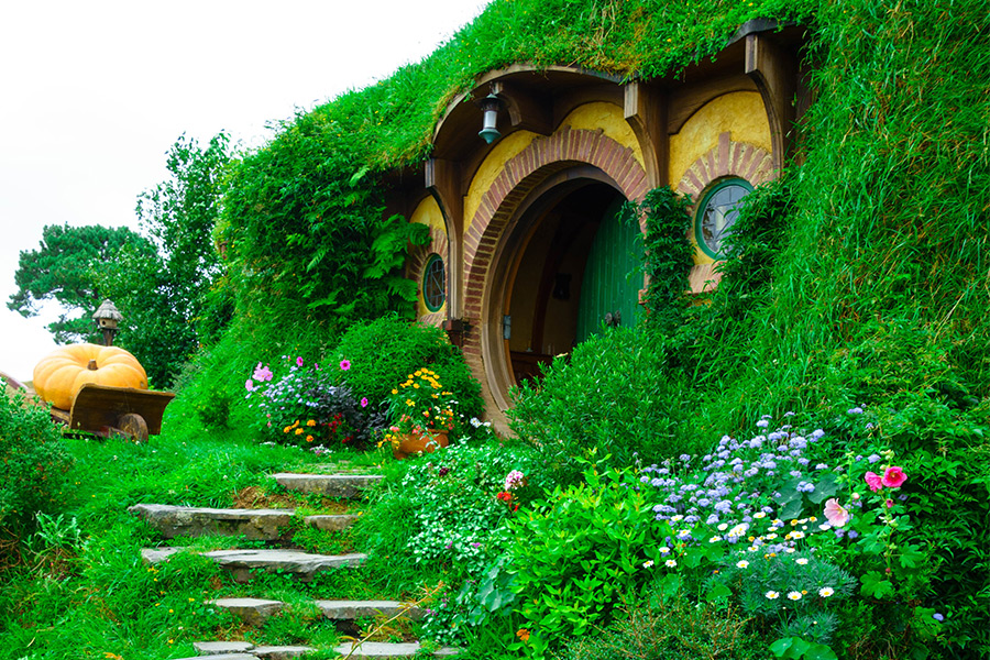 Travel the shire and Hobbiton movie set New Zealand