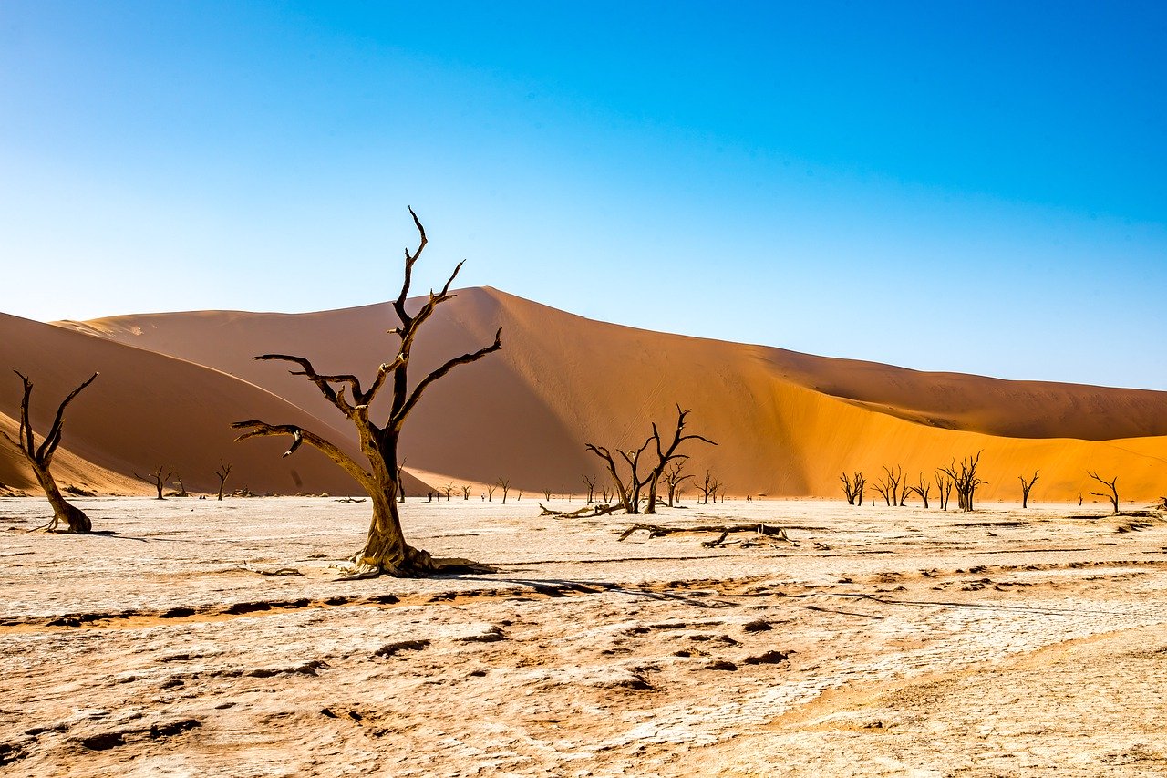 Namib desert
