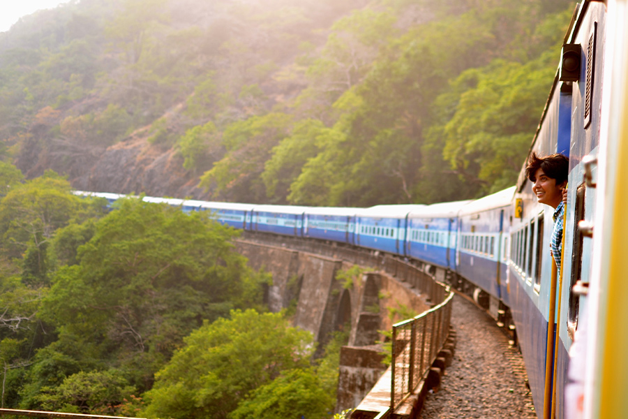 Moving train near trees