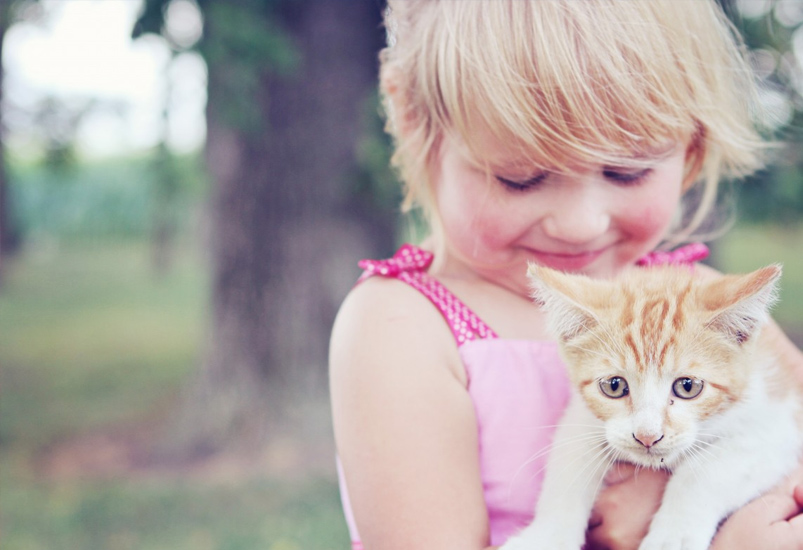Girl holding cat
