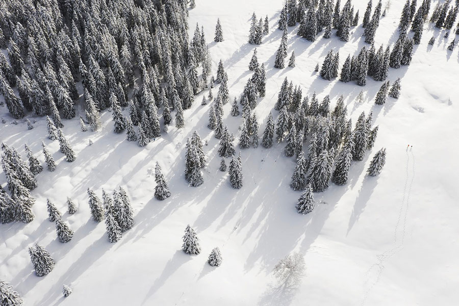 Mountains winter forest above the sky
