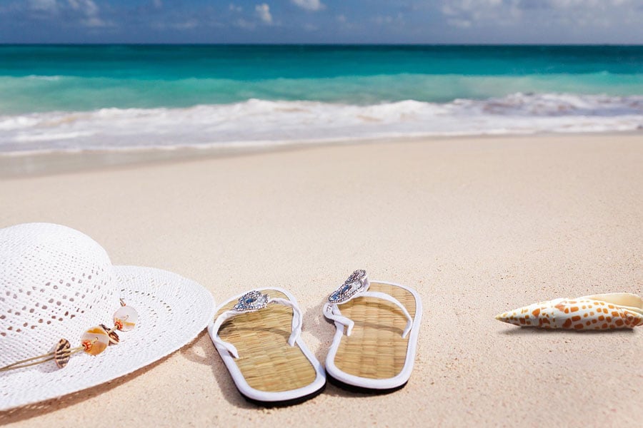 Nature beach sand summer