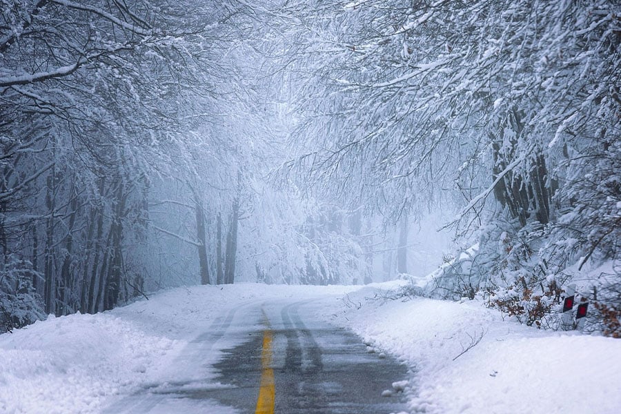 Snow covered road through forest in winter
