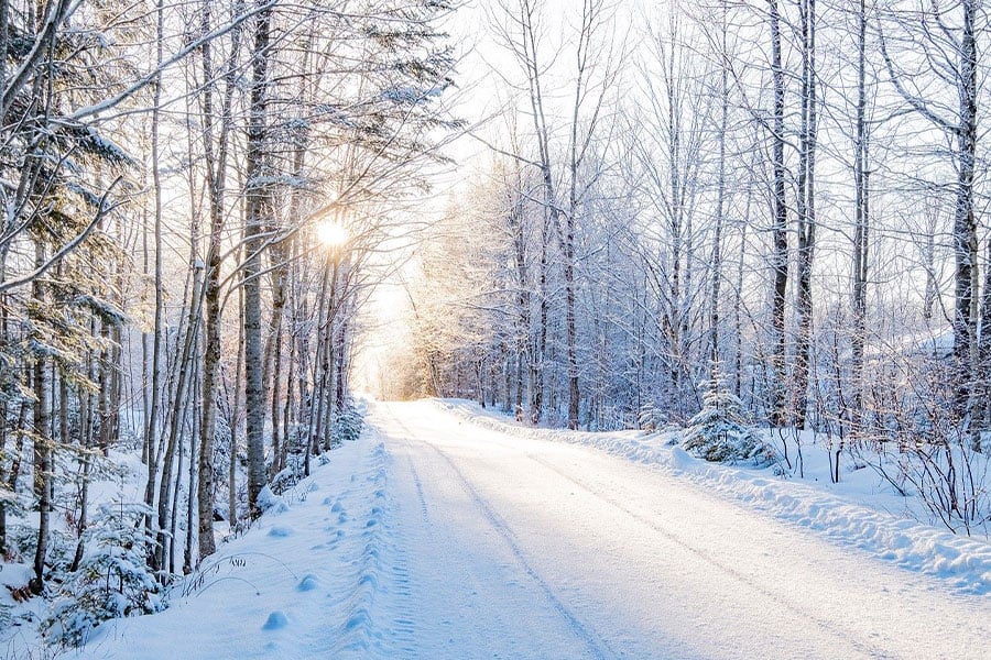 Snowy landscape with a road running through forest