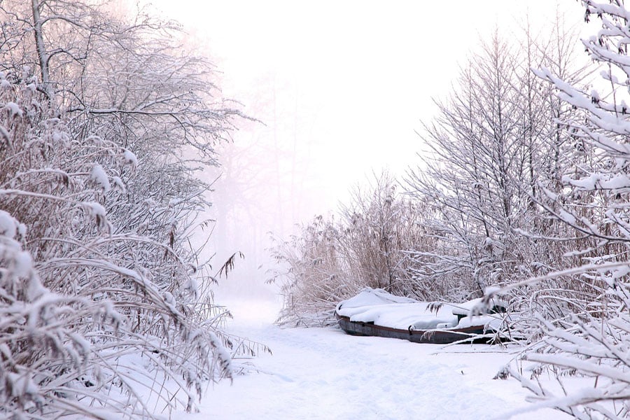 Natural environment all white winter