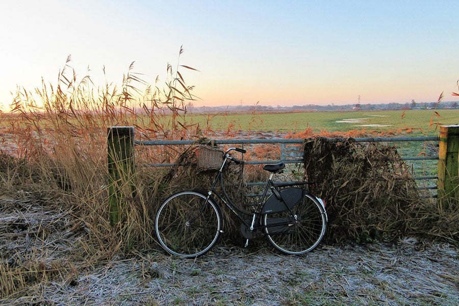 Bicycle leaning against metal fence