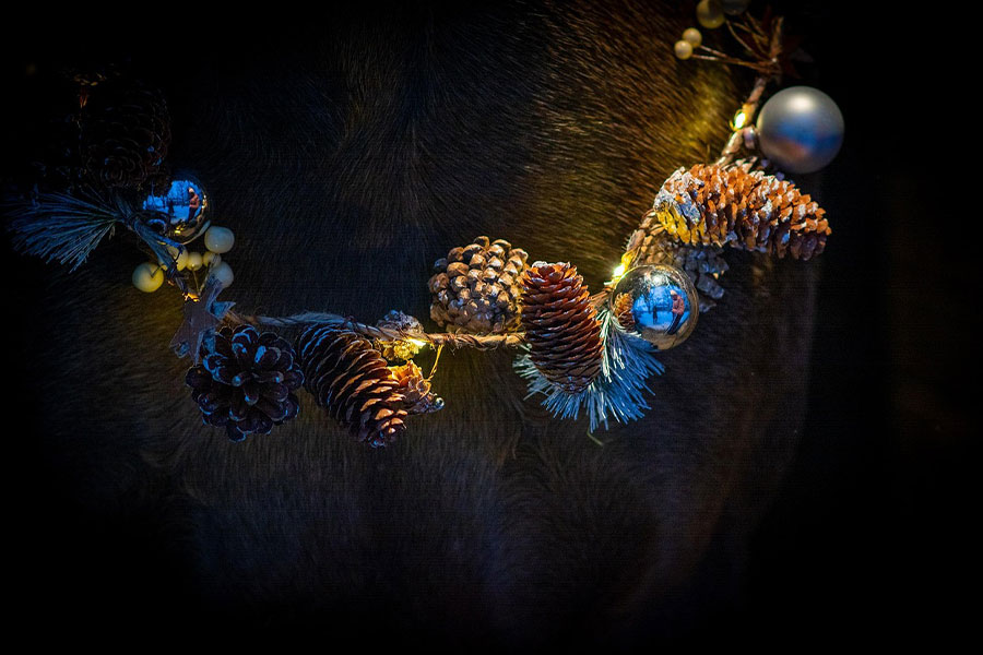 Christmas wreath traditional decoration holiday time