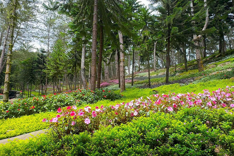 Quelque part à Davao, aux Philippines, la montagne de gloire