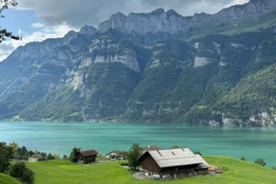 Switzerland lake sorrounded with mountain green area