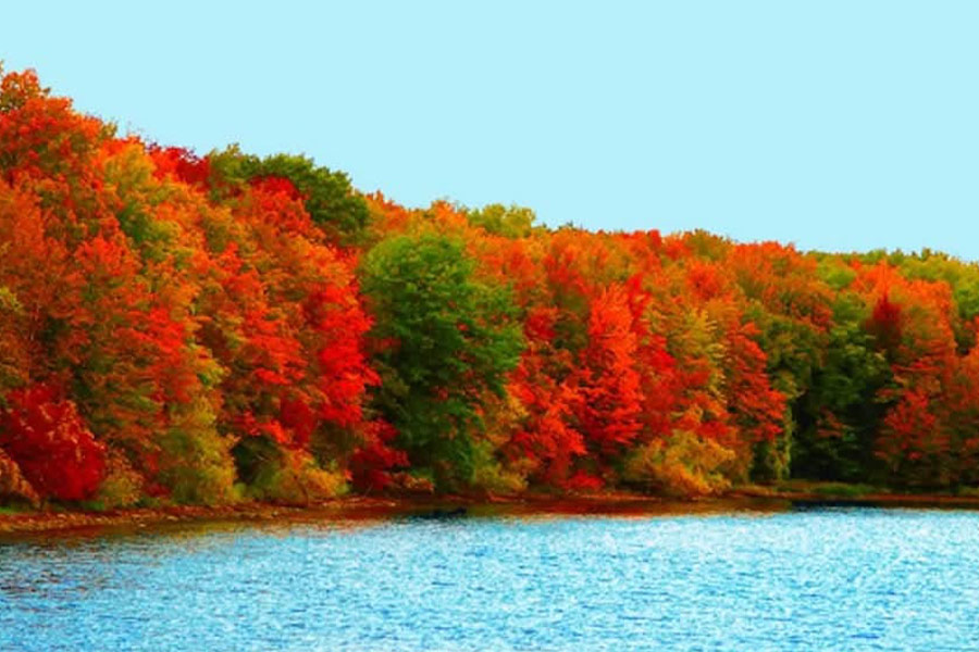 Die Natur wird im Herbst bunt