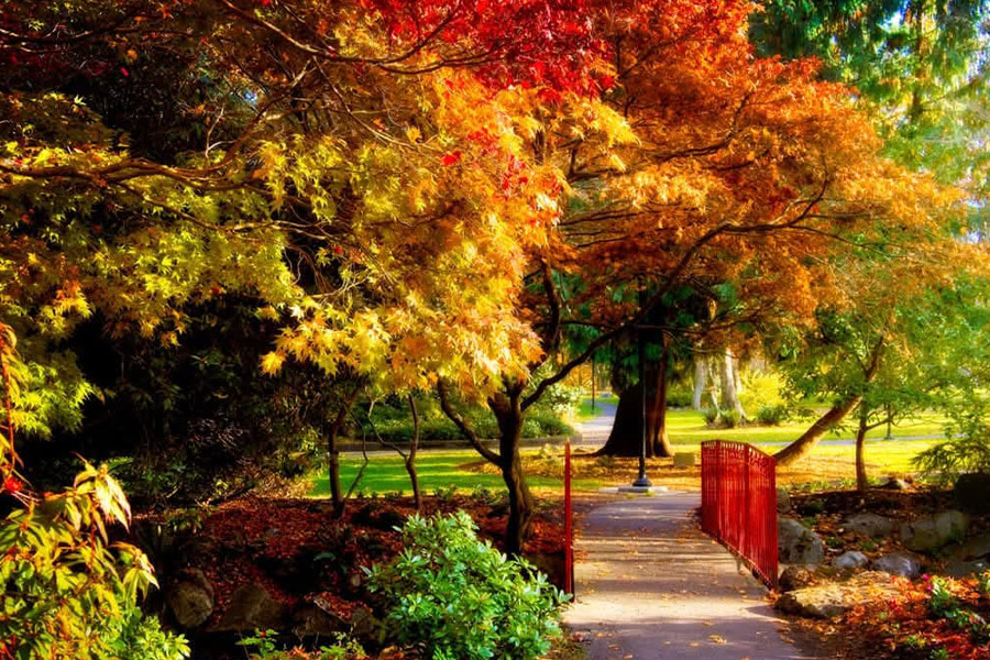 Oszałamiające jesienne kolory natury