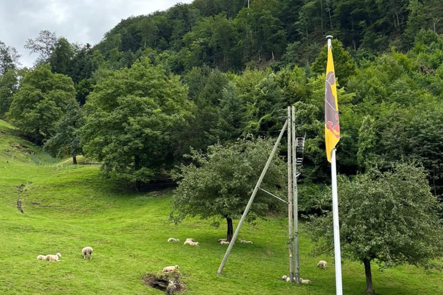 Scène de prairie verte dans une zone rurale vallonnée
