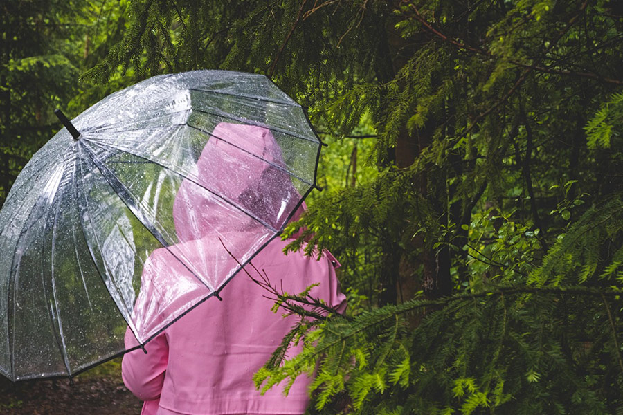 Przezroczysty parasol na deszczowy czas