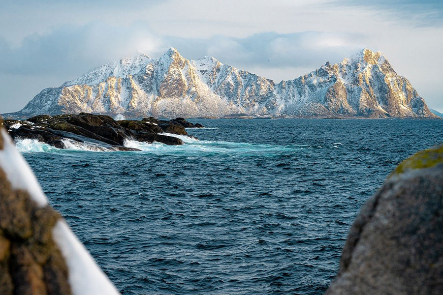 Schattige close-up foto van een knaagdier