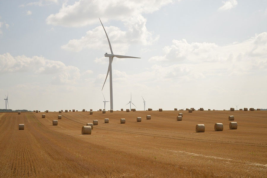 Fasci di raccolta delle turbine eoliche